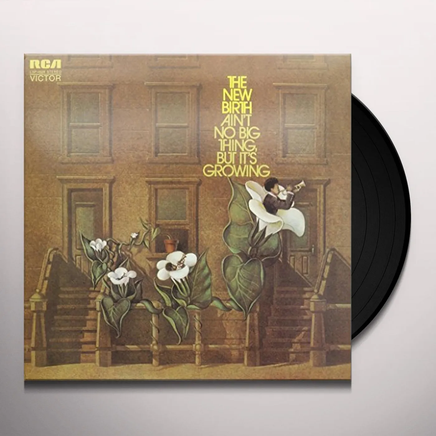 The New Birth AIN'T NO BIG THING Vinyl Record