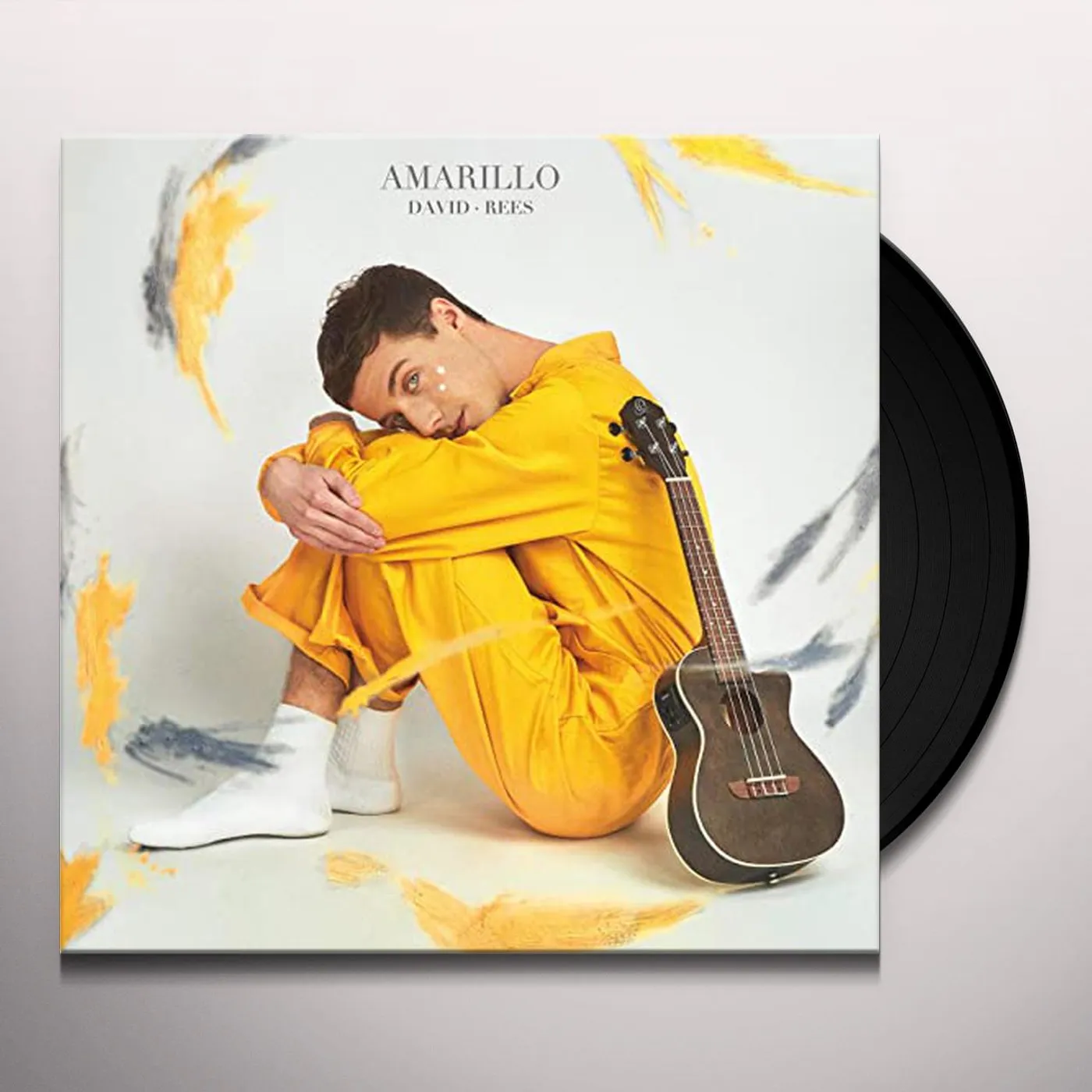 David Rees Amarillo Vinyl Record
