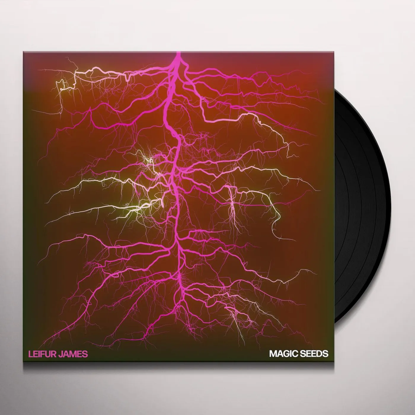 Leifur James Magic Seeds Vinyl Record