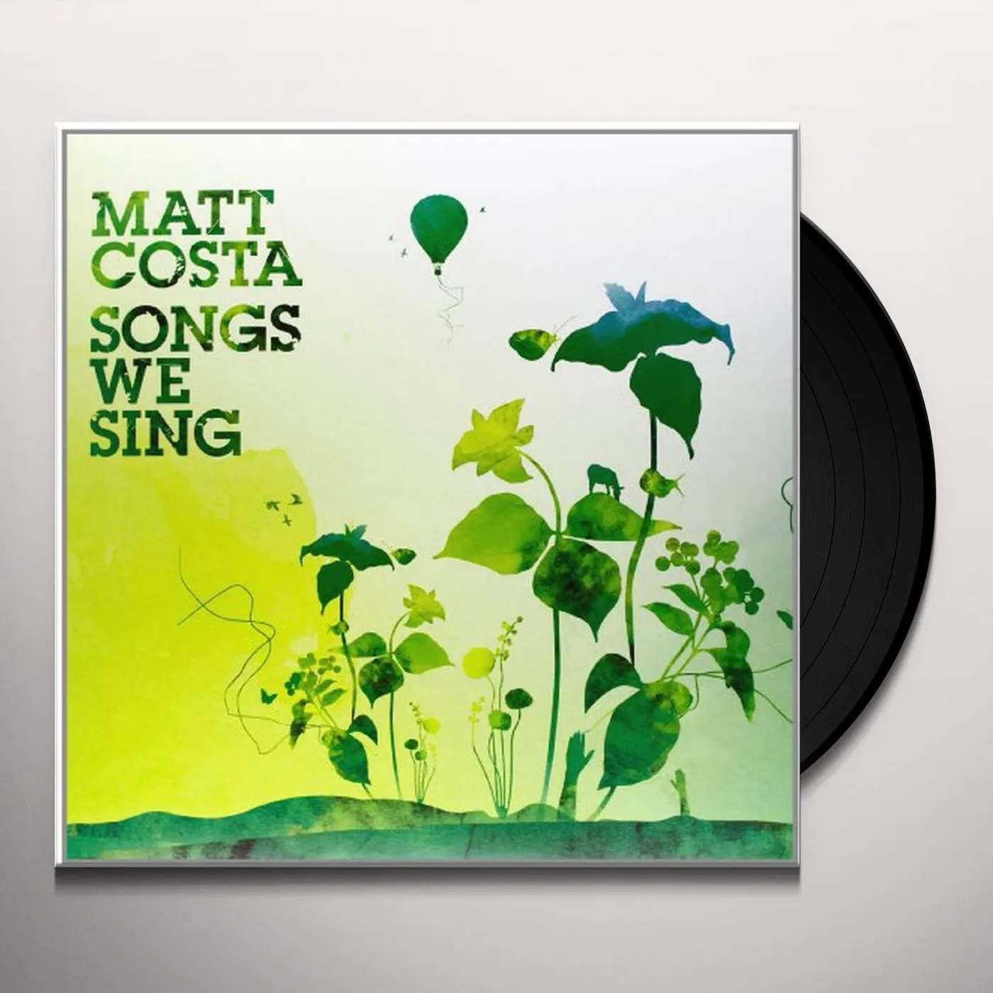 Matt Costa Songs We Sing Vinyl Record