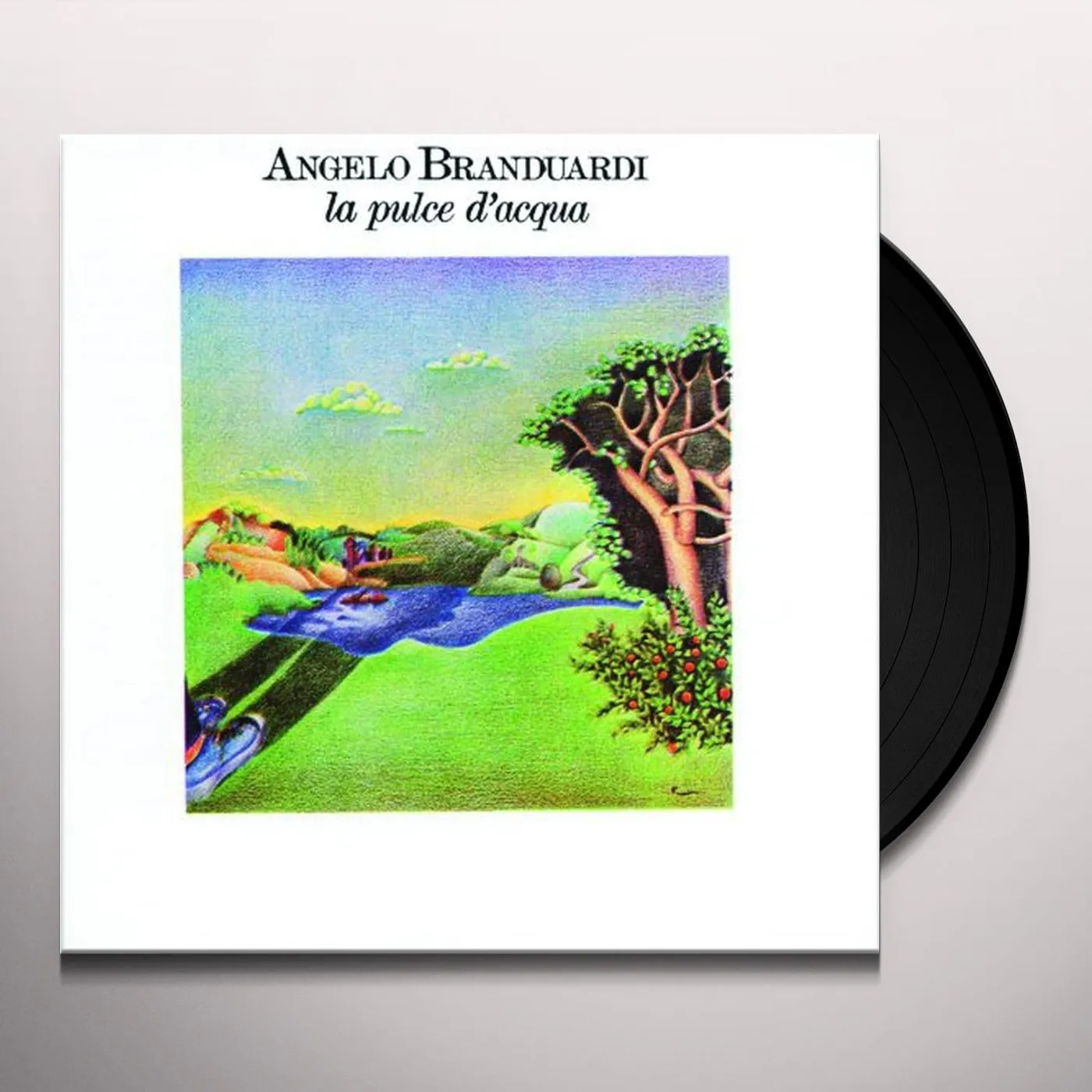 Angelo Branduardi La Pulce D'Acqua Vinyl Record