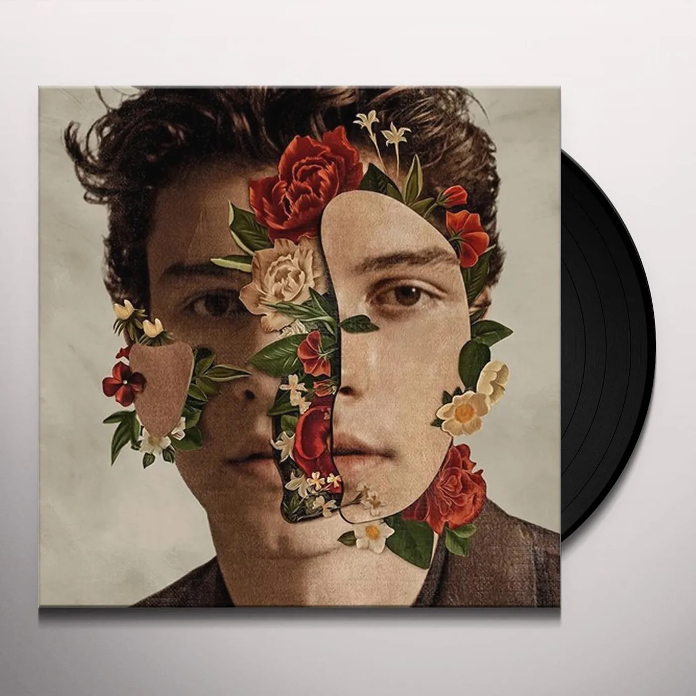 Shawn Mendes Vinyl Record