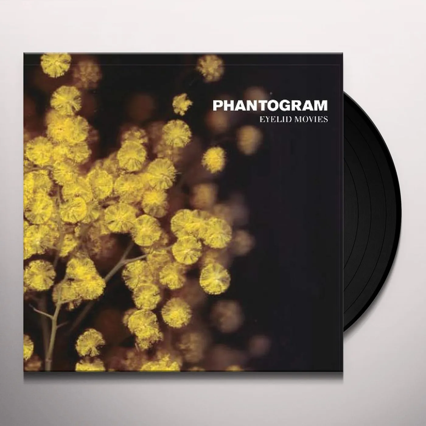 Phantogram Eyelid Movies Vinyl Record