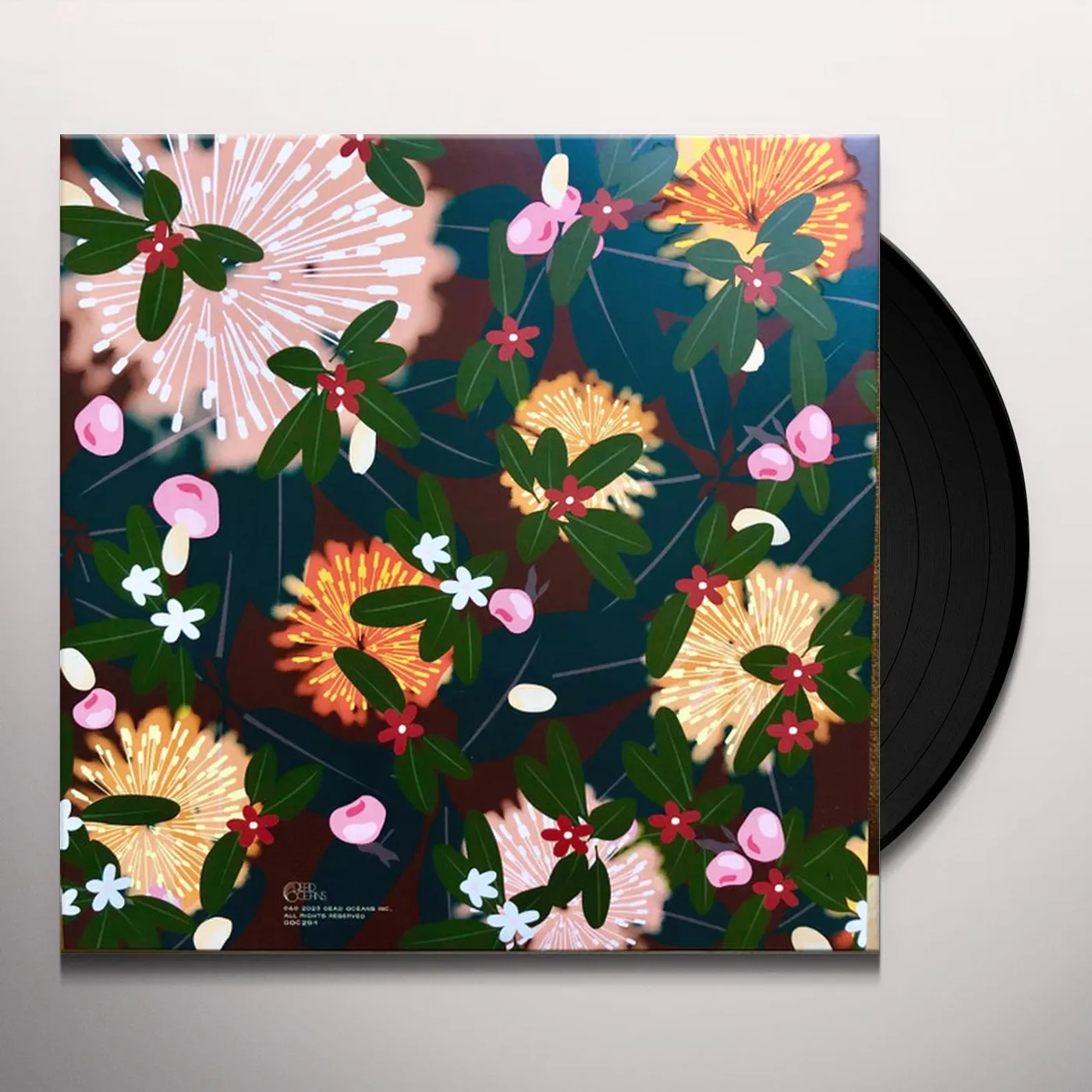 Bright Eyes NOISE FLOOR (RARITIES: 1998-2005) (CHAMPAGNE WAVE VINYL/2LP) Vinyl Record