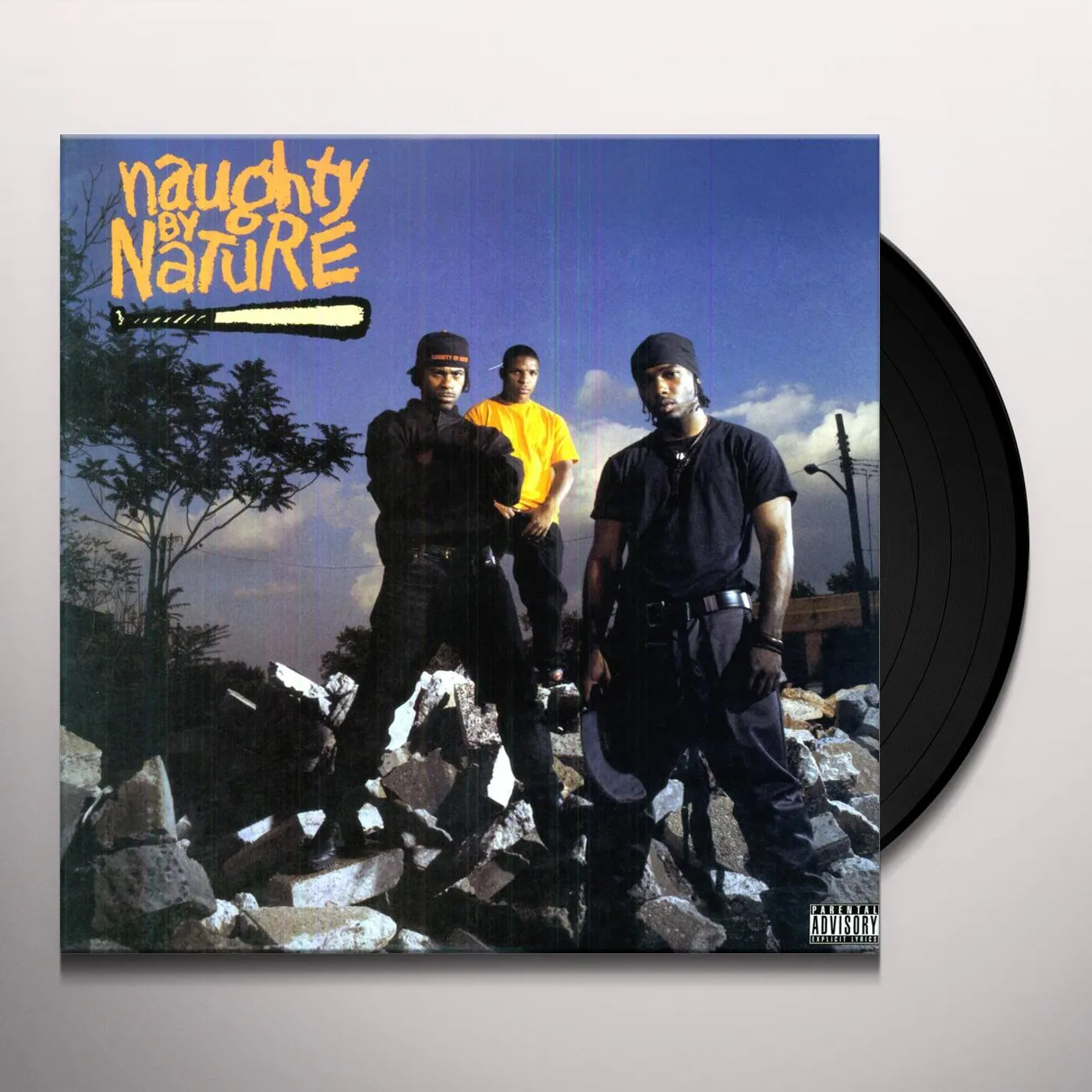NAUGHTY BY NATURE Vinyl Record