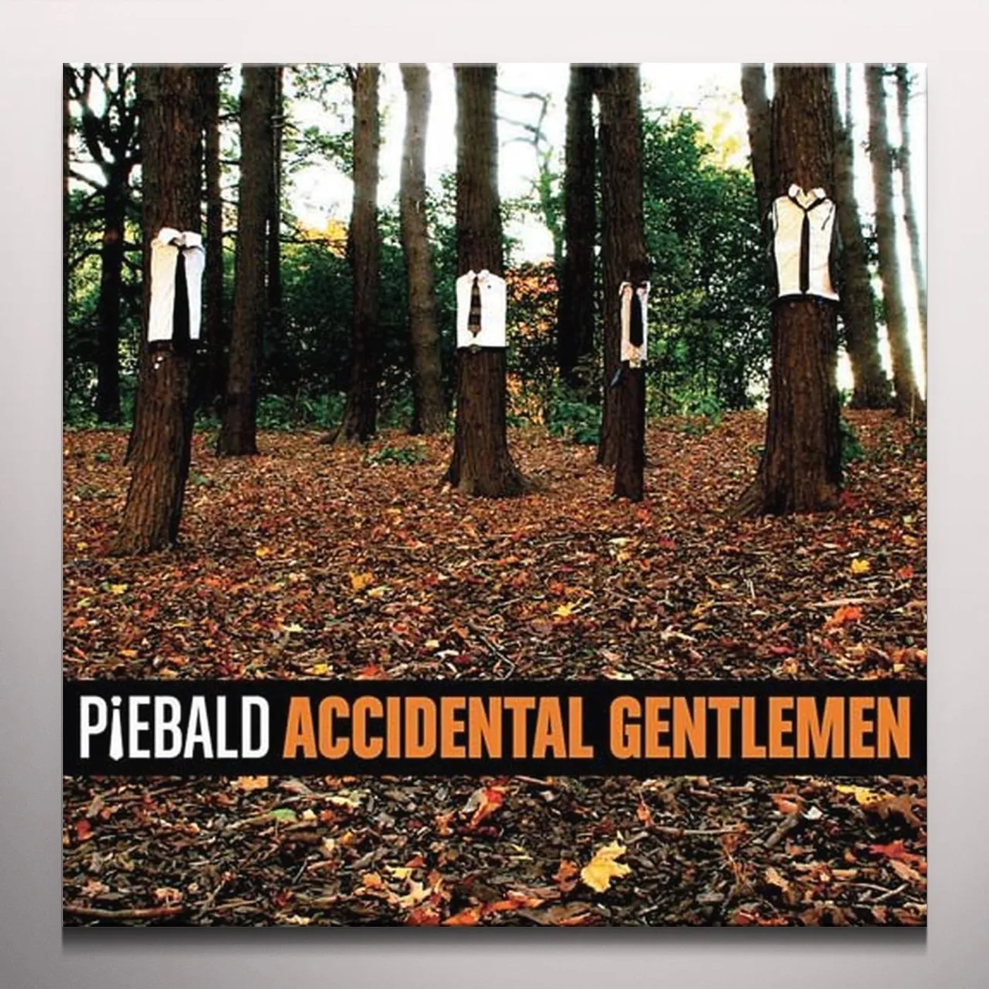 Piebald Accidental Gentleman Vinyl Record