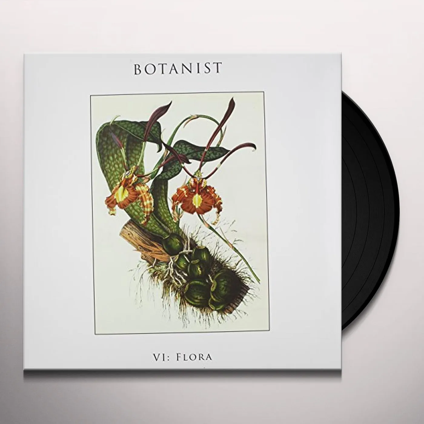 Botanist VI: FLORA Vinyl Record