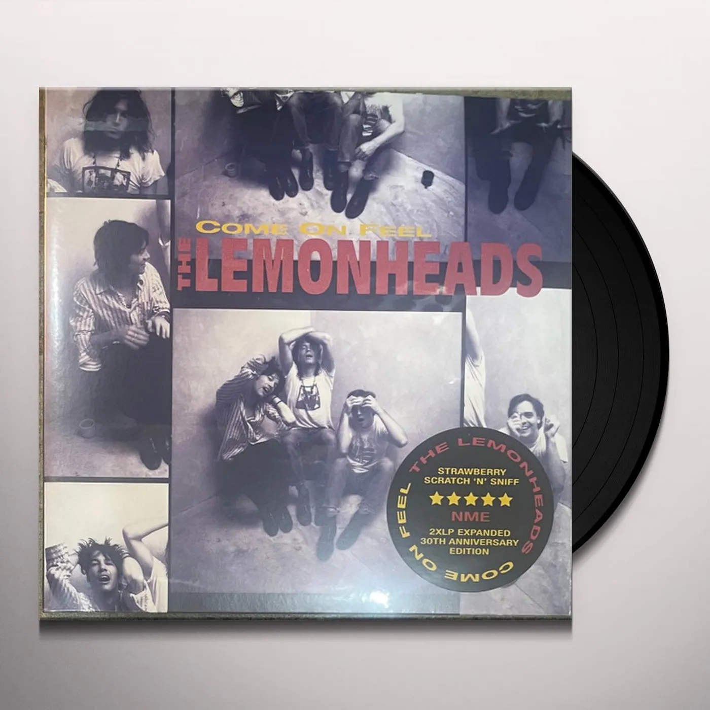 COME ON FEEL THE LEMONHEADS Vinyl Record