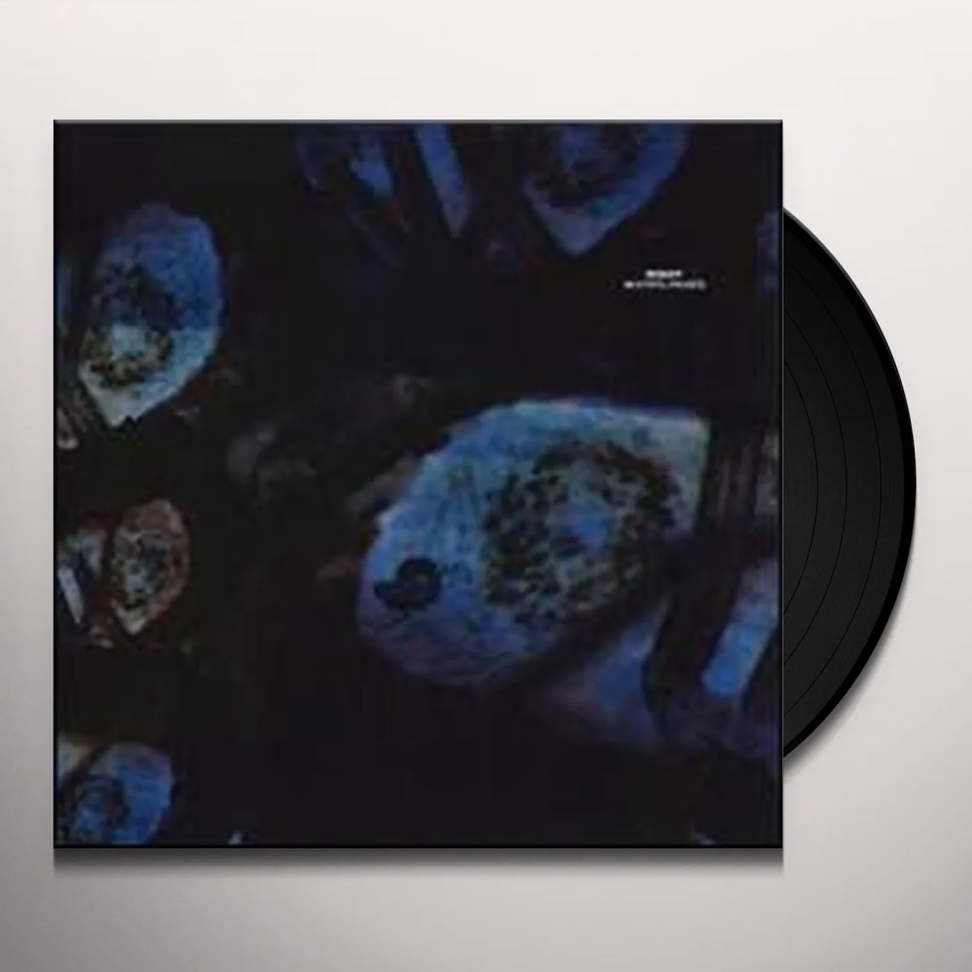 Reboot Beautiful Parasite Vinyl Record