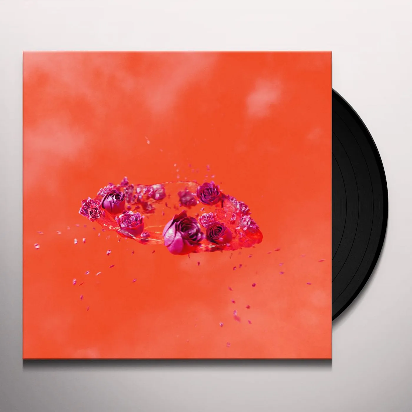 Ami Dang LIVING WORLD'S DEMANDS Vinyl Record