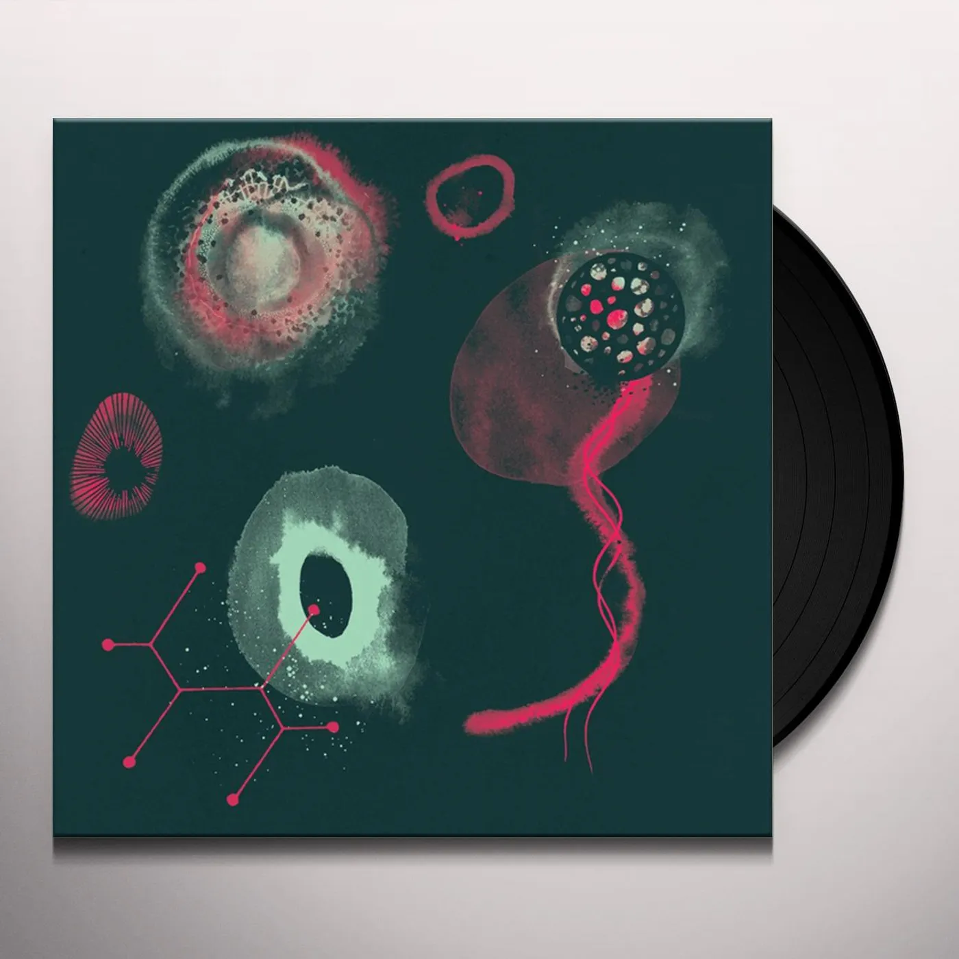 Polypores IMPOSSIBILITY Vinyl Record