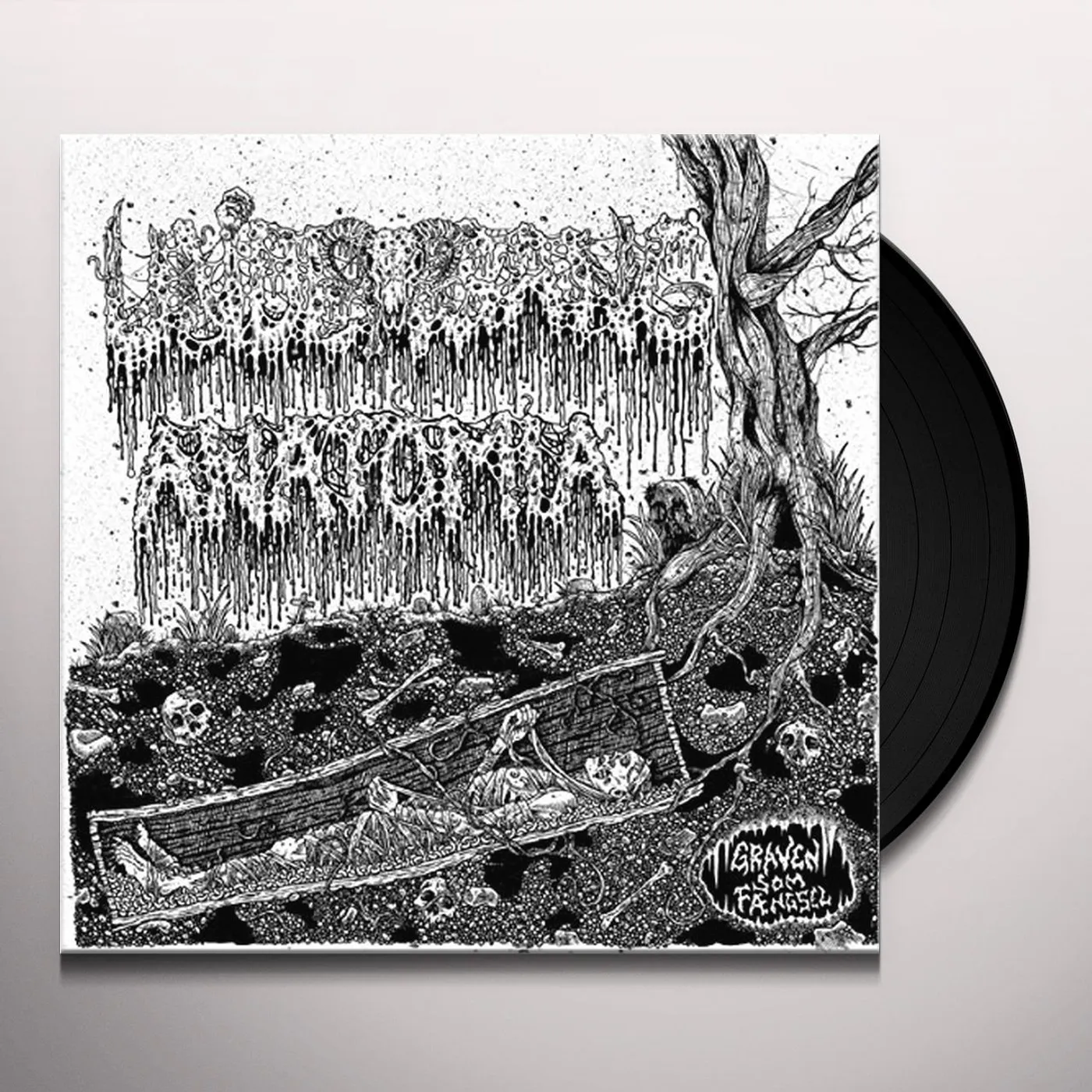 Anatomia Split Vinyl Record