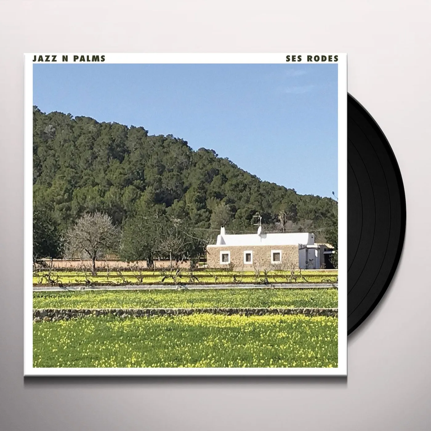 Jazz N Palms SES RODES Vinyl Record
