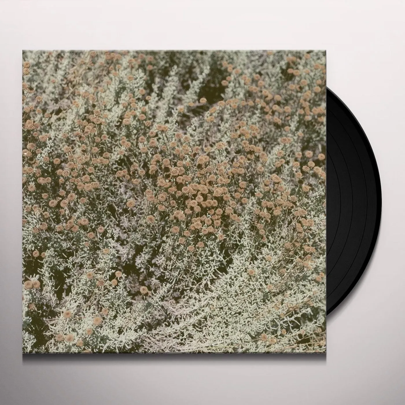 Loving If I Am Only My Thoughts Vinyl Record