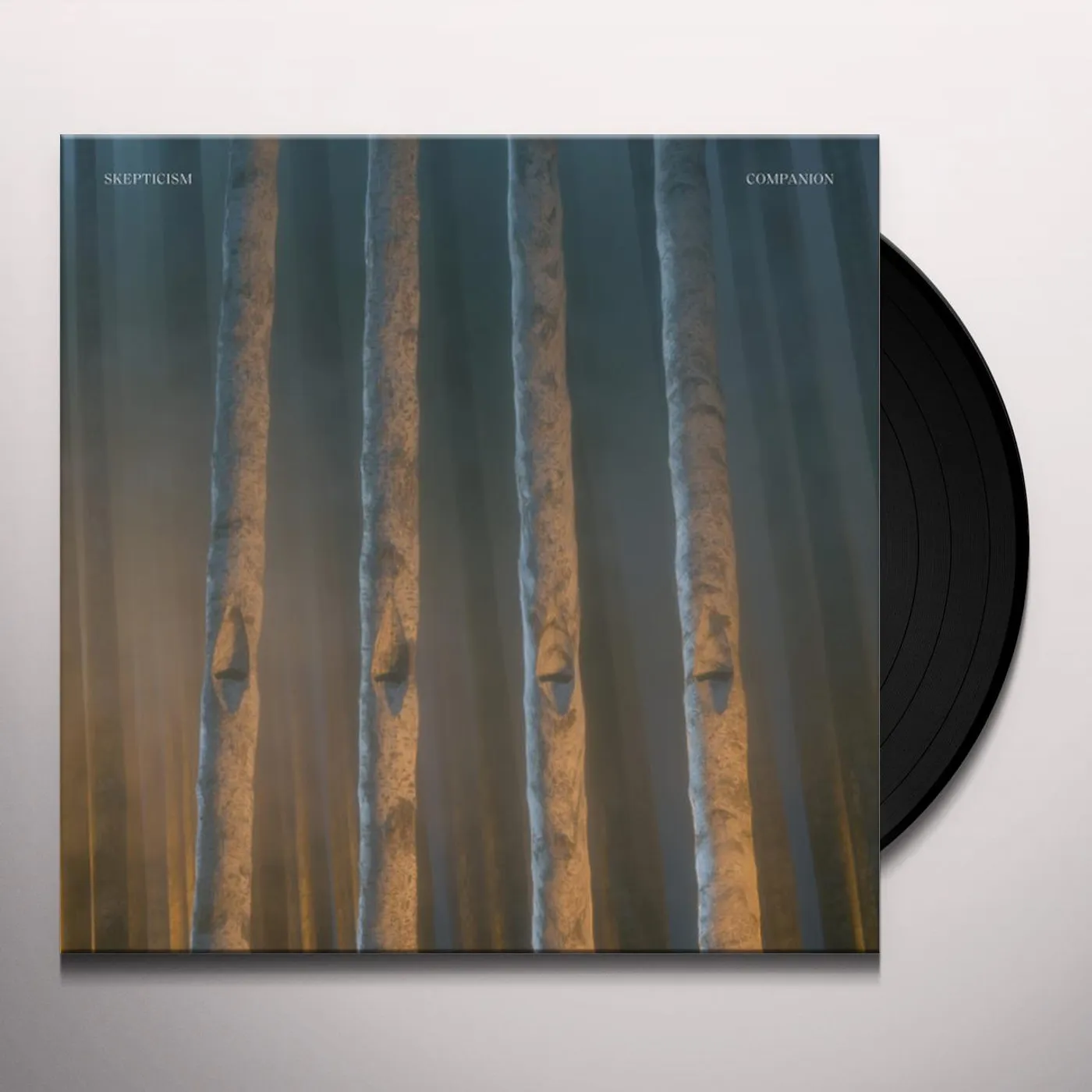 Skepticism Companion Vinyl Record