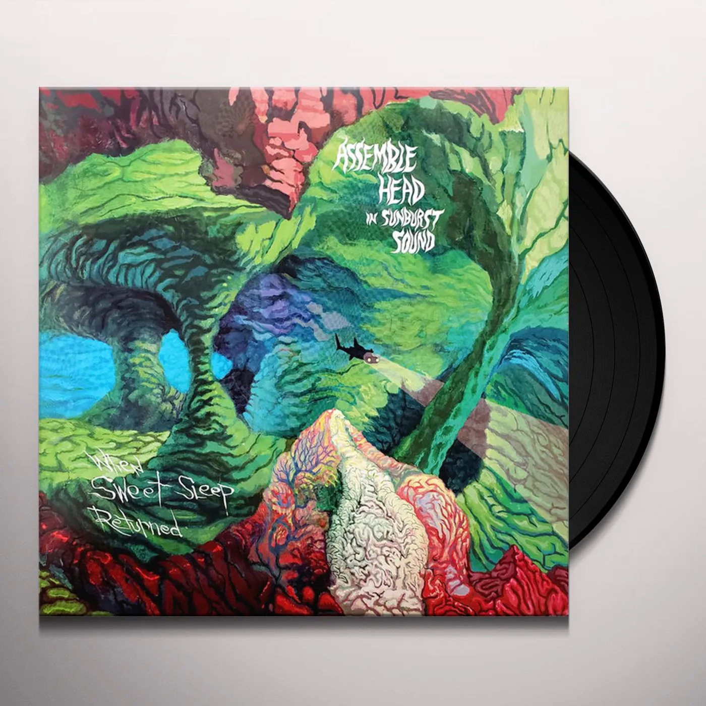 Assemble Head In Sunburst Sound When Sweet Sleep Returned Vinyl Record