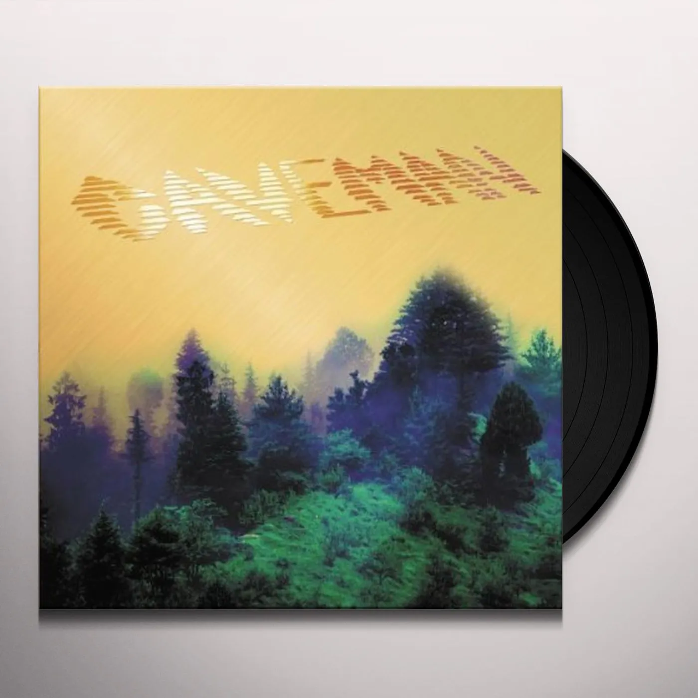 Caveman Vinyl Record