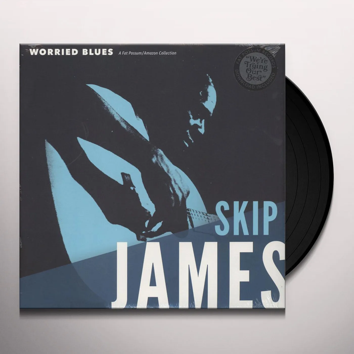 Skip James WORRIED BLUES Vinyl Record