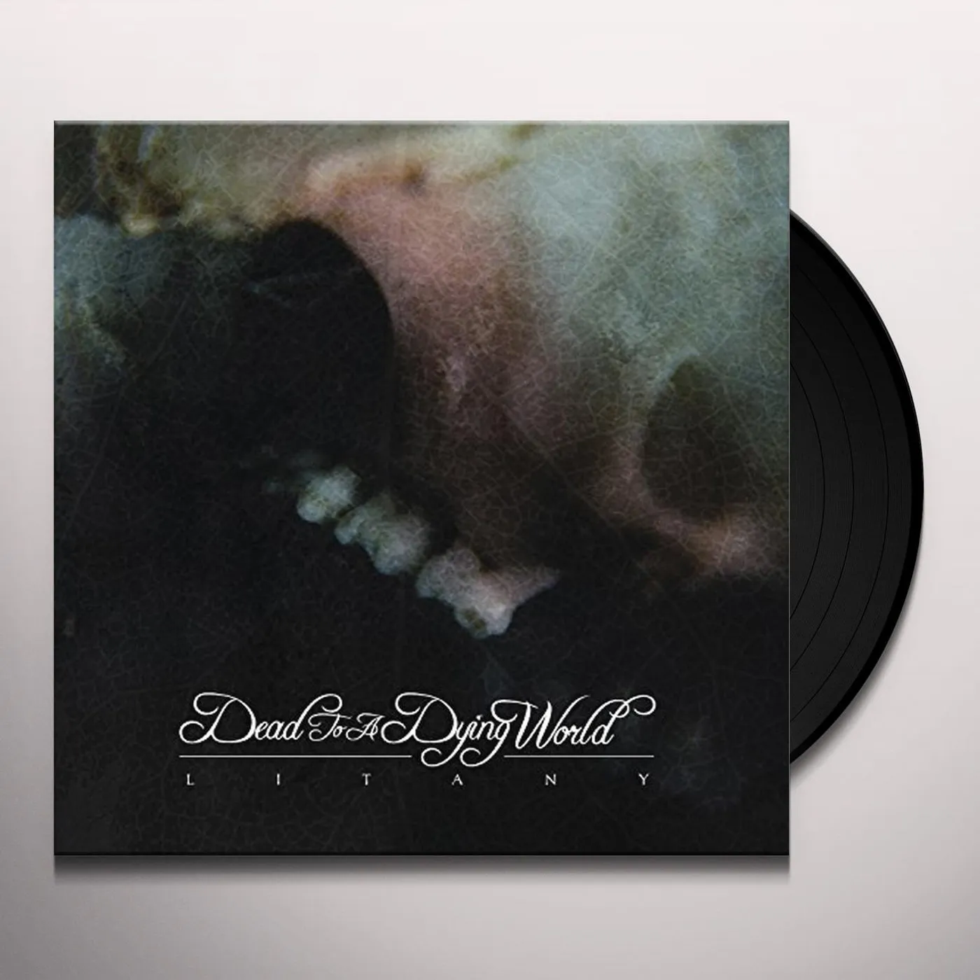 Dead To A Dying World Litany Vinyl Record