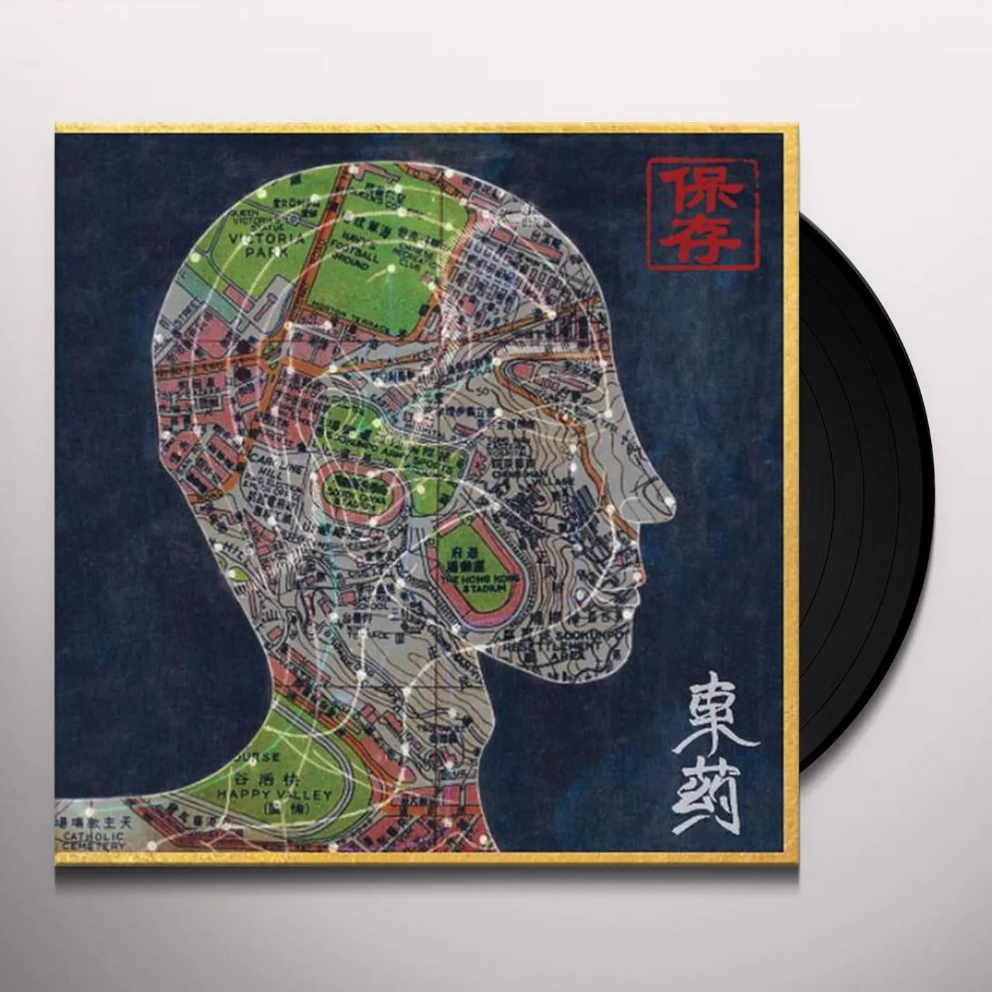 Preservation EASTERN MEDICINE WESTERN ILLNESS Vinyl Record