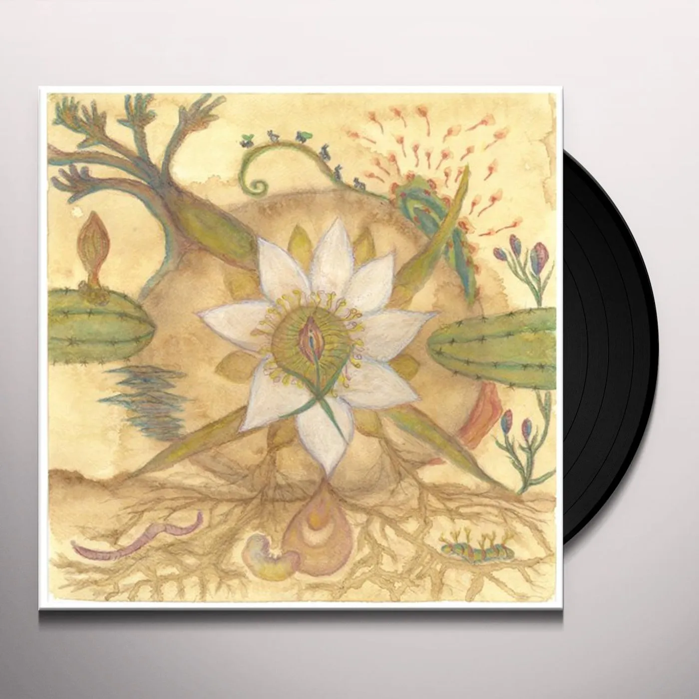 Vision Versions: Joaquin Cornejo Meets Markandeya Vinyl Record