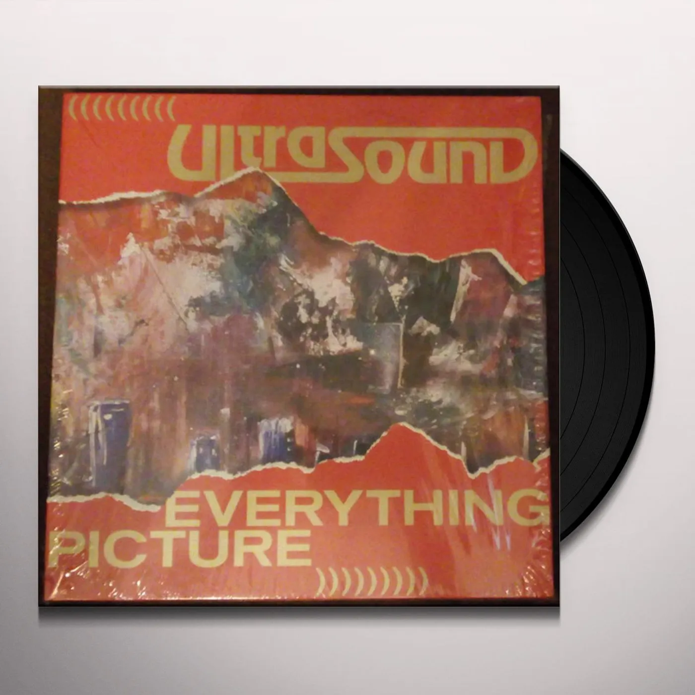 Ultrasound EVERYTHING PICTURE (DELUXE EDITION/7LP) Vinyl Record