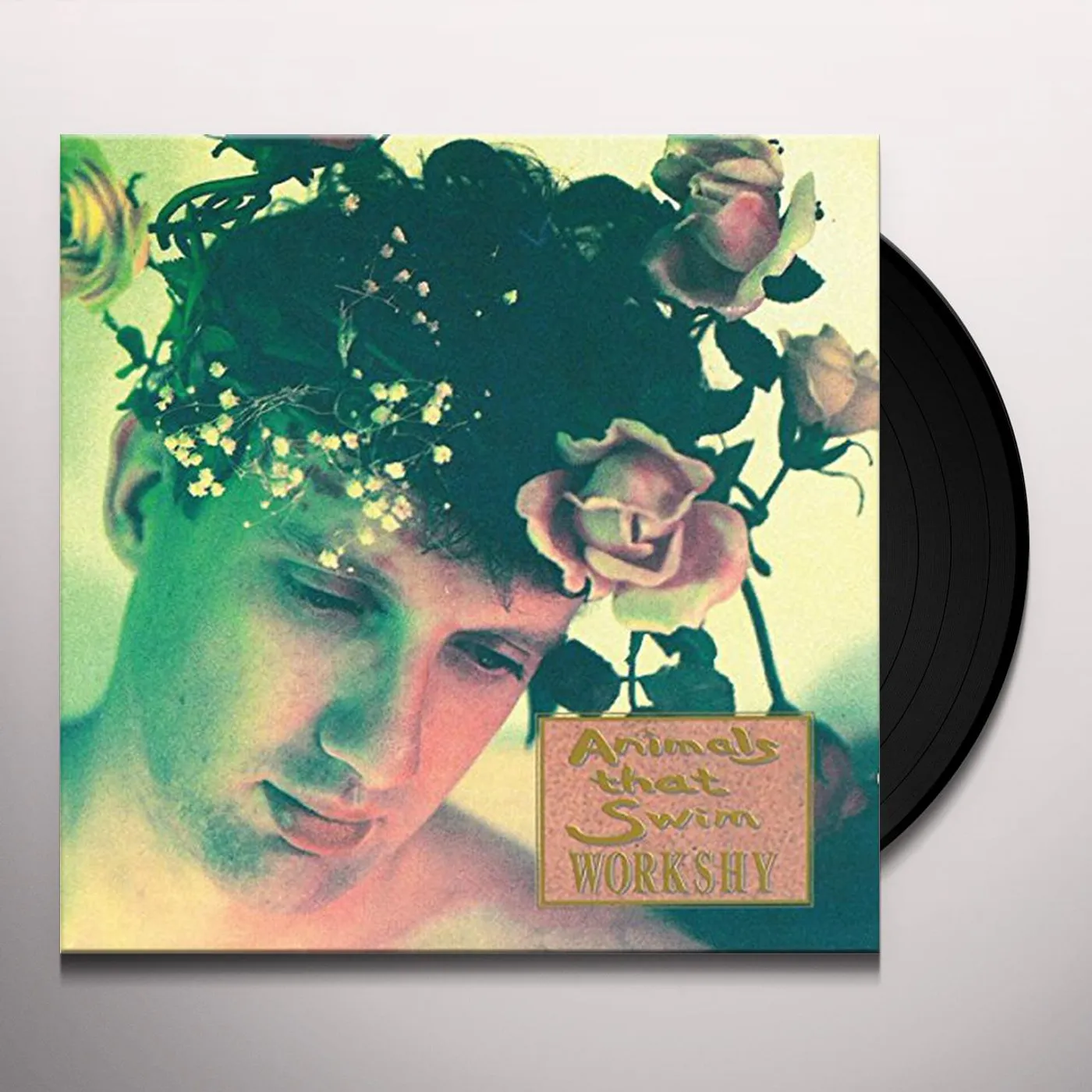 Animals That Swim Workshy Vinyl Record