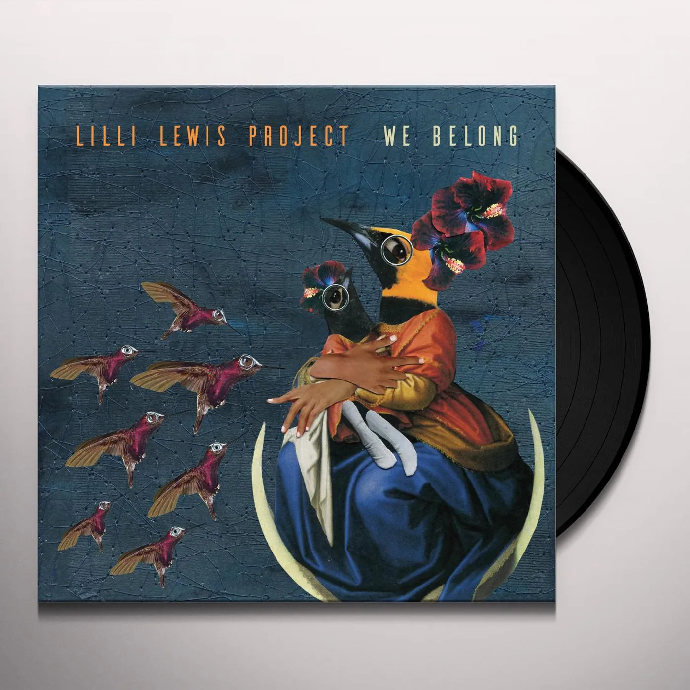 Lilli Lewis Project We Belong Vinyl Record
