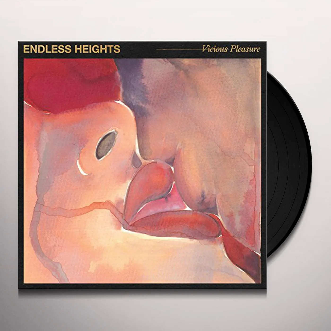 Endless Heights Vicious Pleasure Vinyl Record