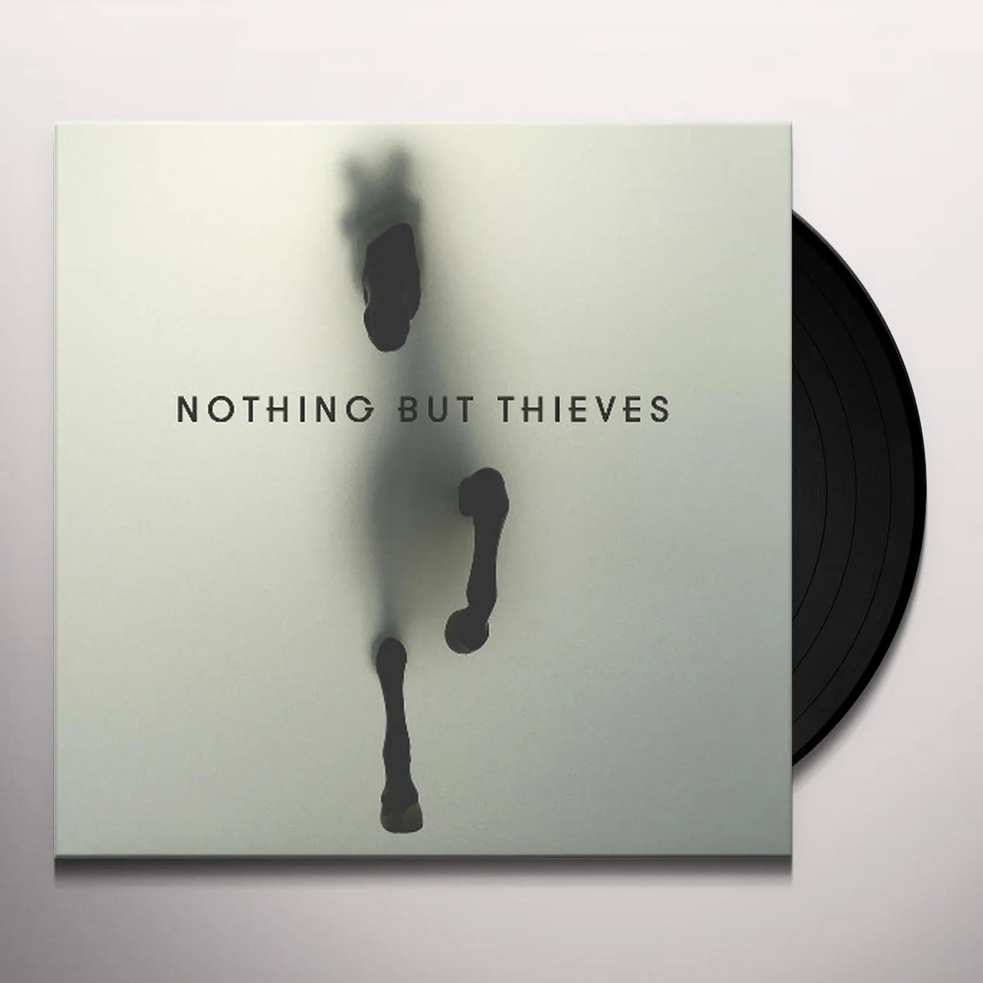 Nothing But Thieves Vinyl Record