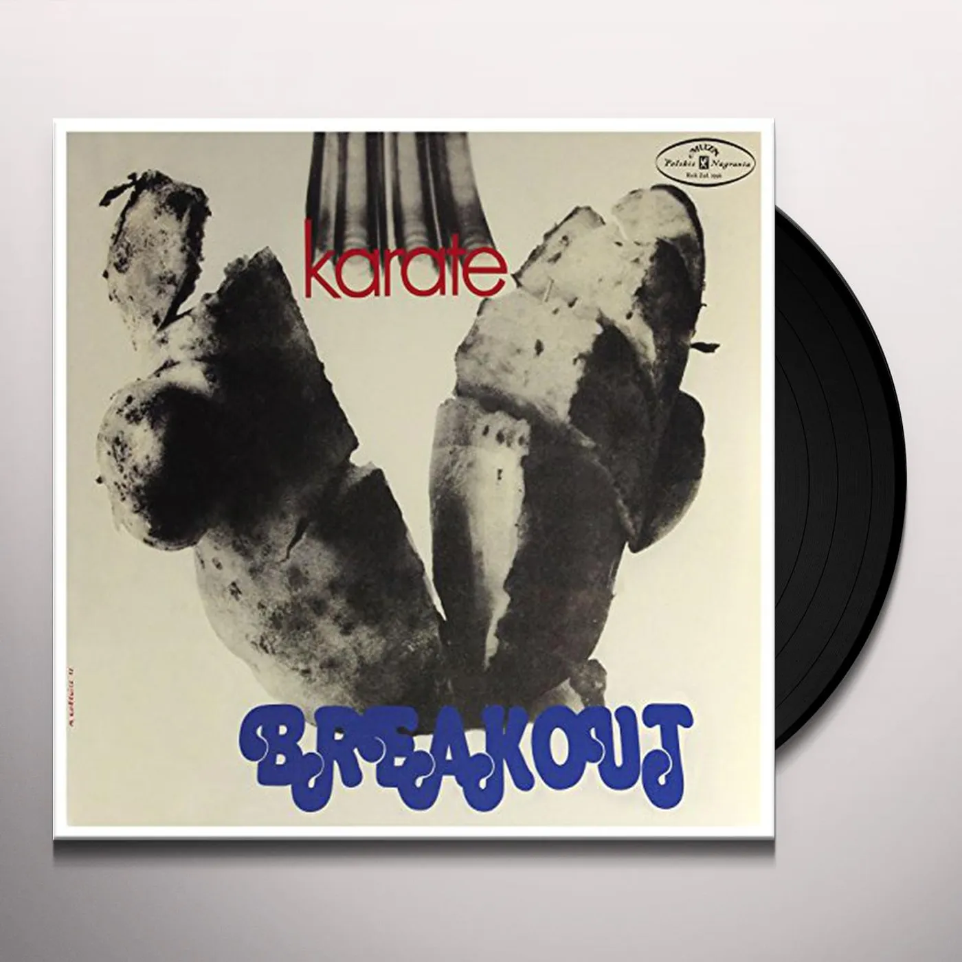 Breakout Karate Vinyl Record