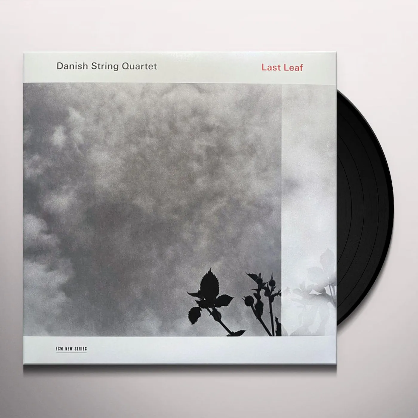 Danish String Quartet LAST LEAF (LP) Vinyl Record