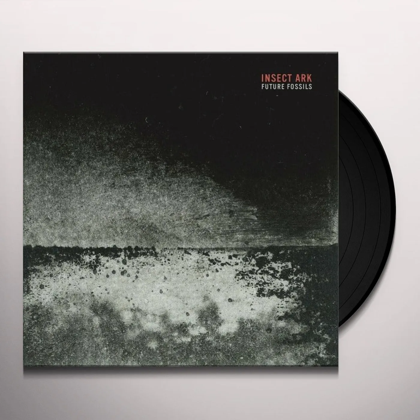 Insect Ark Future Fossils Vinyl Record