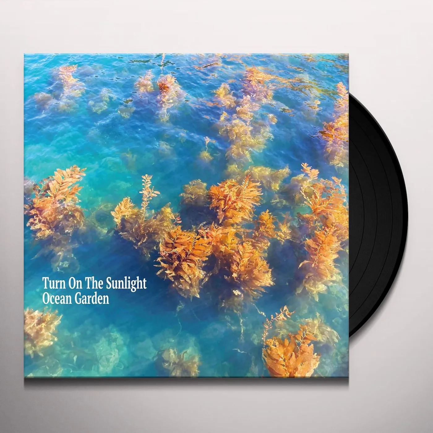 Turn On The Sunlight OCEAN GARDEN Vinyl Record