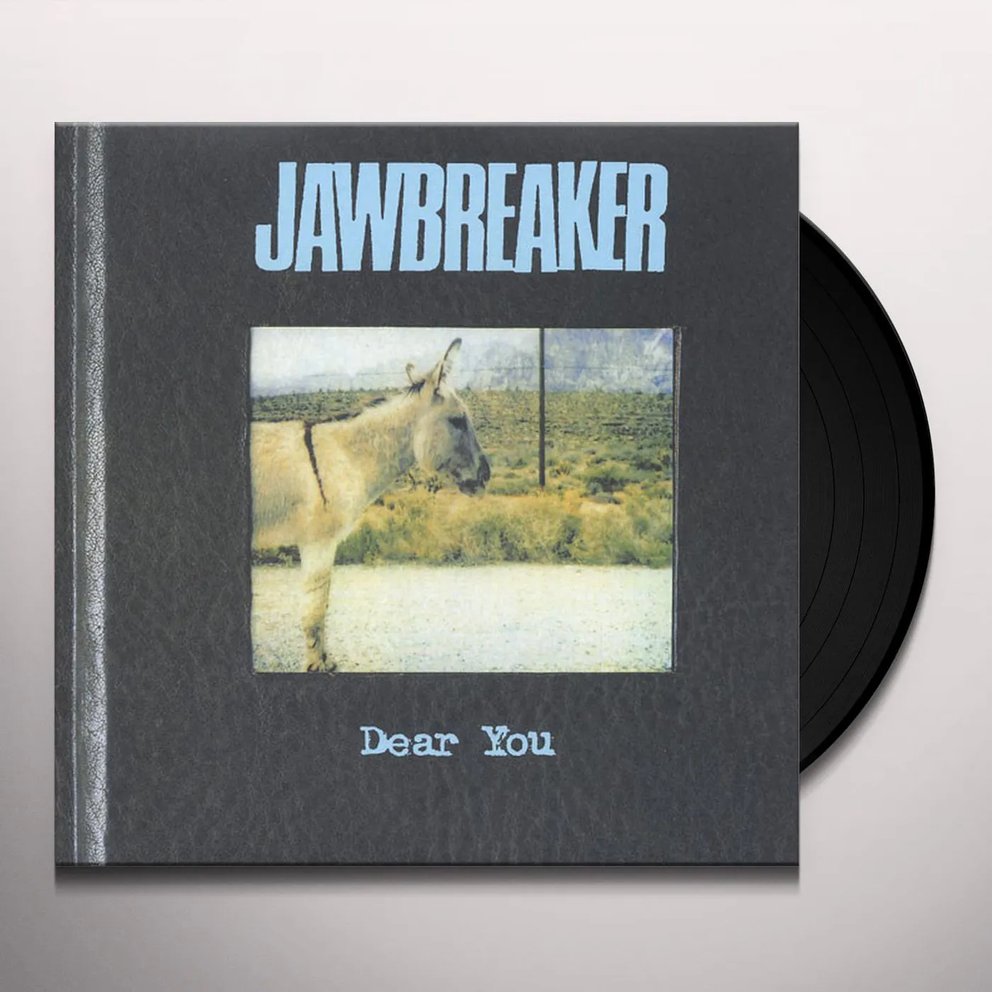 Jawbreaker Dear You Vinyl Record