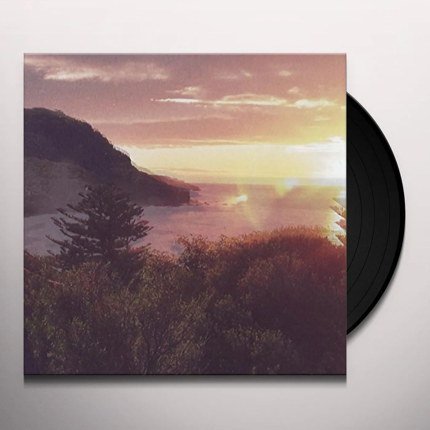 The Ocean Party BEAUTY SPOT Vinyl Record