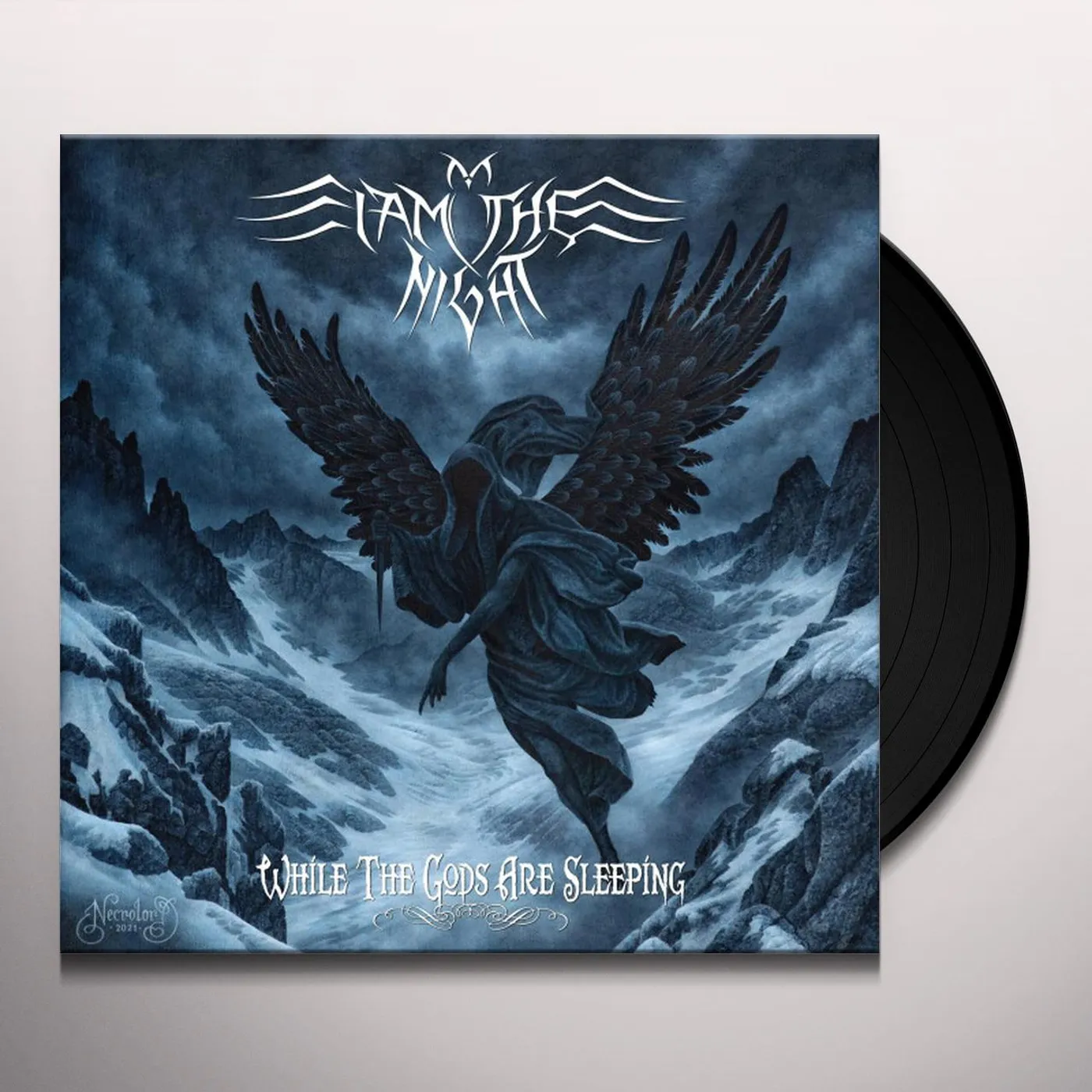 I Am The Night WHILE THE GODS ARE ASLEEP Vinyl Record