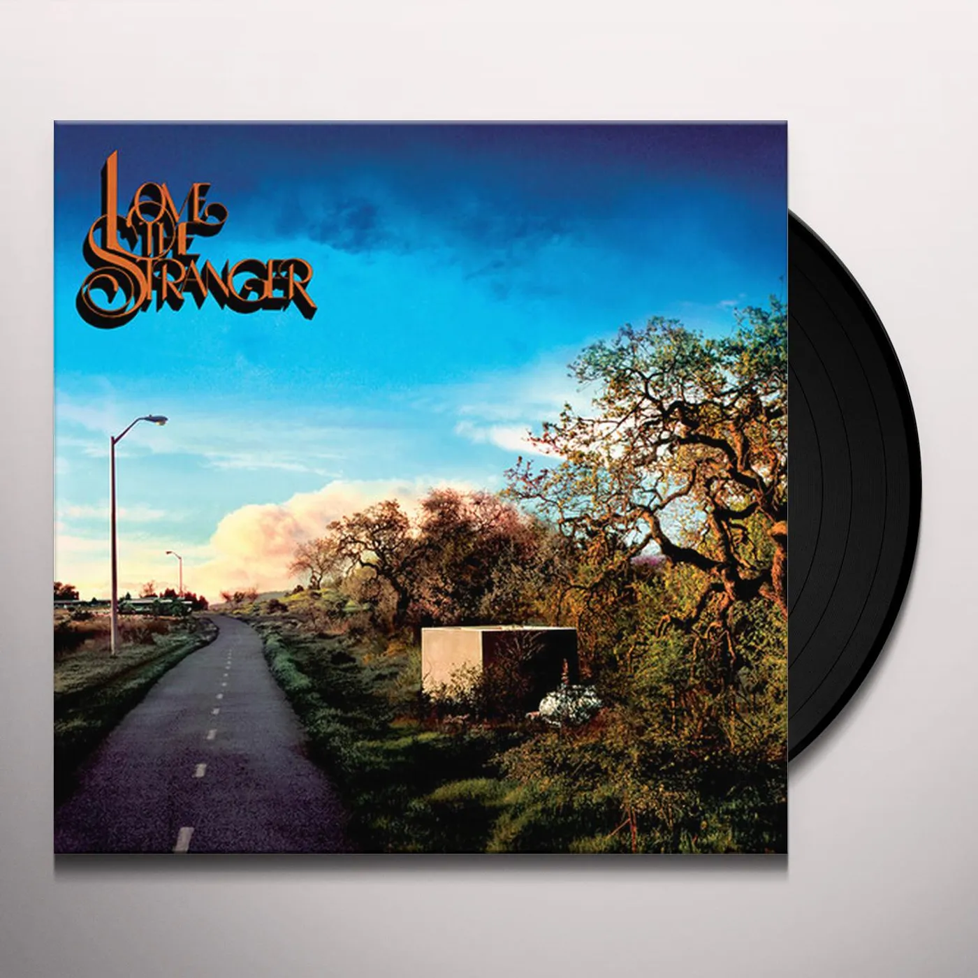 Friendship Love The Stranger Vinyl Record