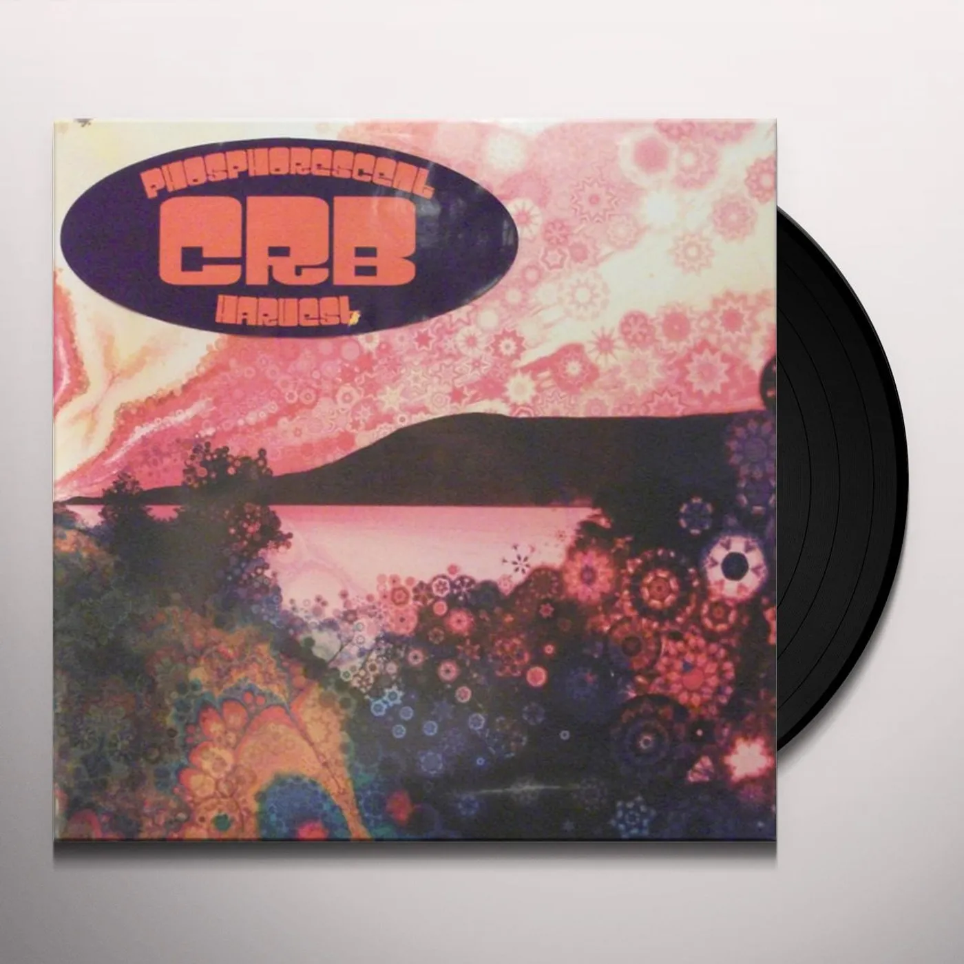Chris Robinson Brotherhood Phosphorescent Harvest Vinyl Record