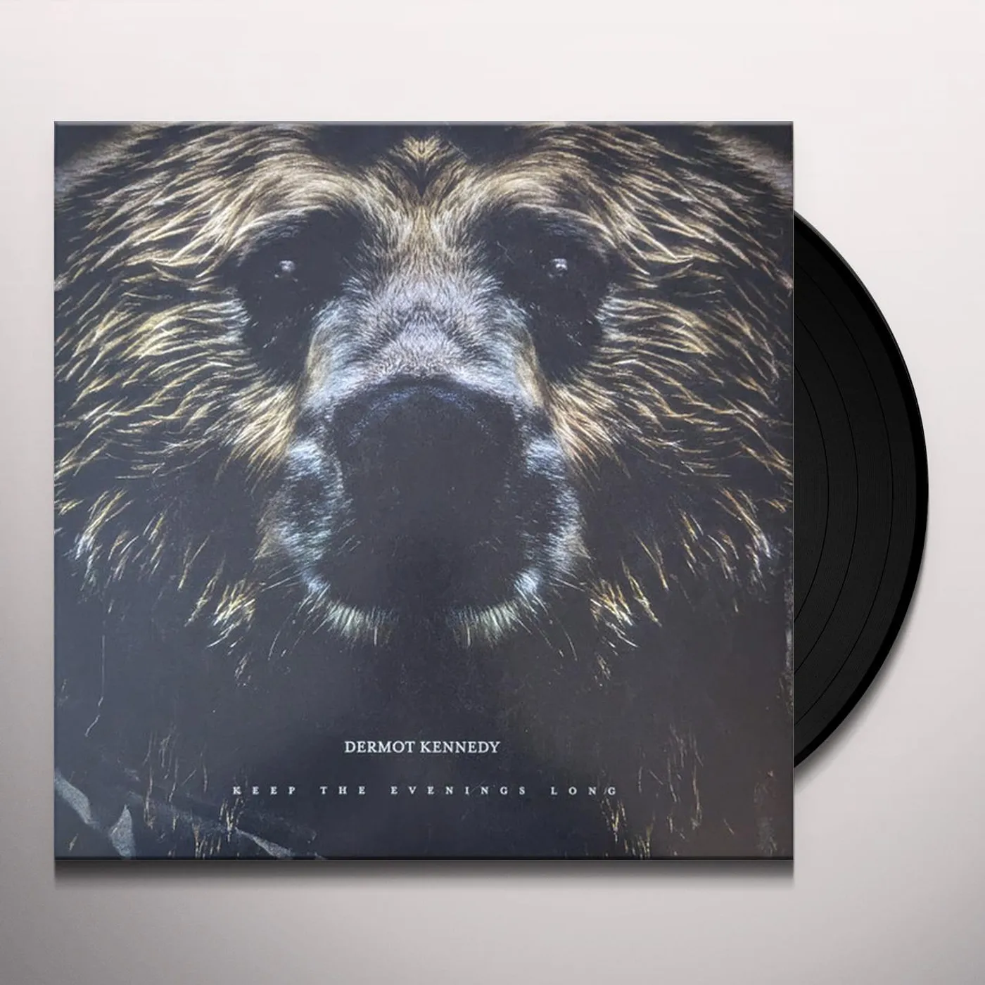 Dermot Kennedy KEEP THE EVENINGS LONG Vinyl Record