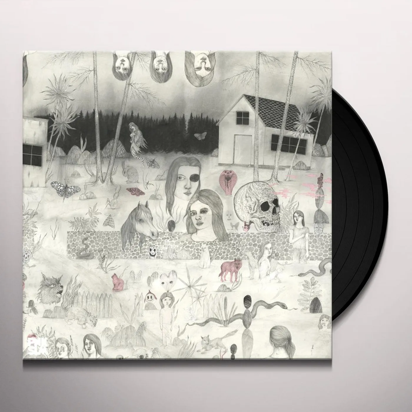 Sudakistan Swedish Cobra Vinyl Record