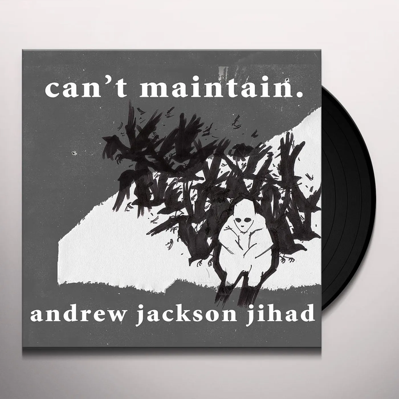 Andrew Jackson Jihad Can't Maintain Vinyl Record
