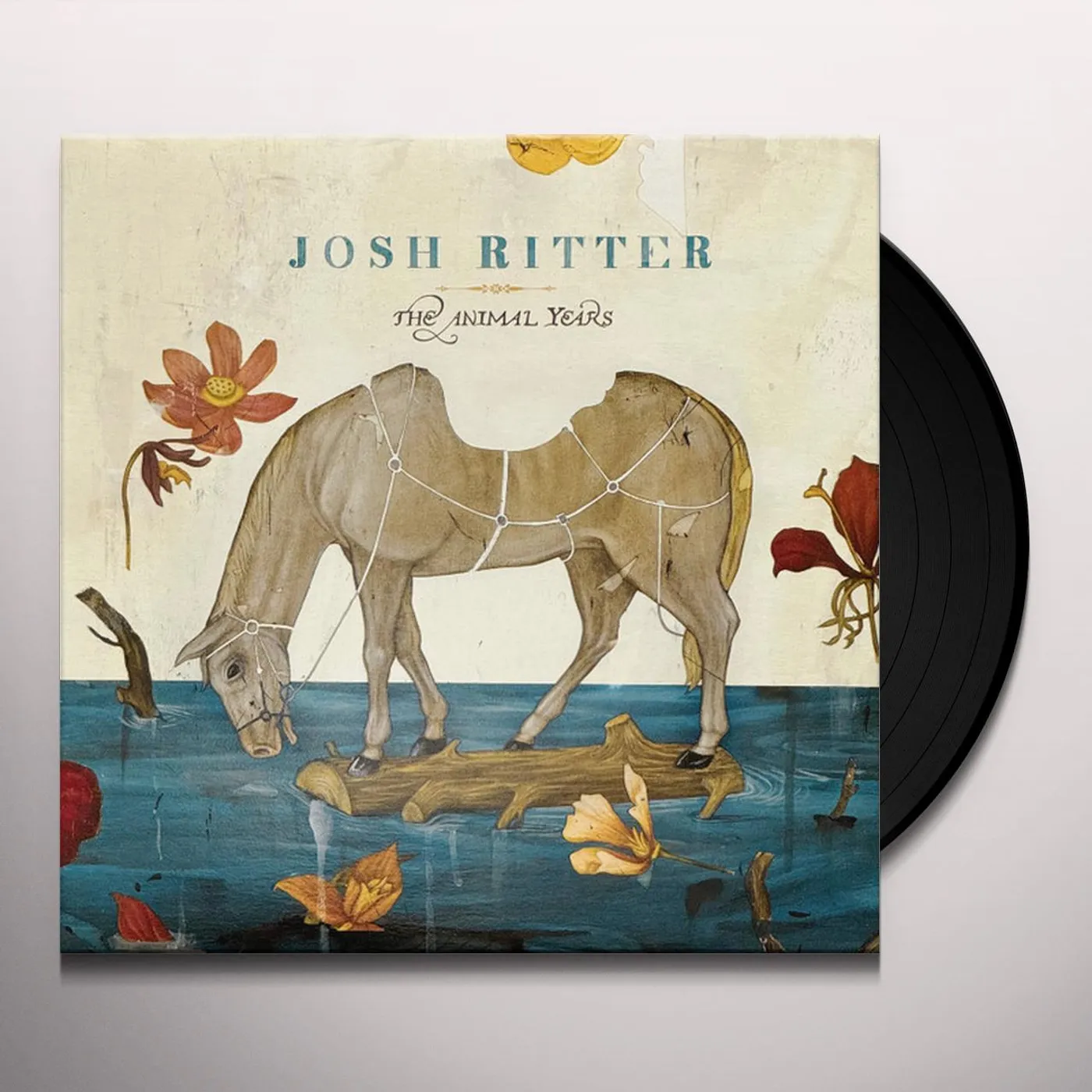Josh Ritter ANIMAL YEARS (ROSE CHAMPAGNE VINYL) Vinyl Record