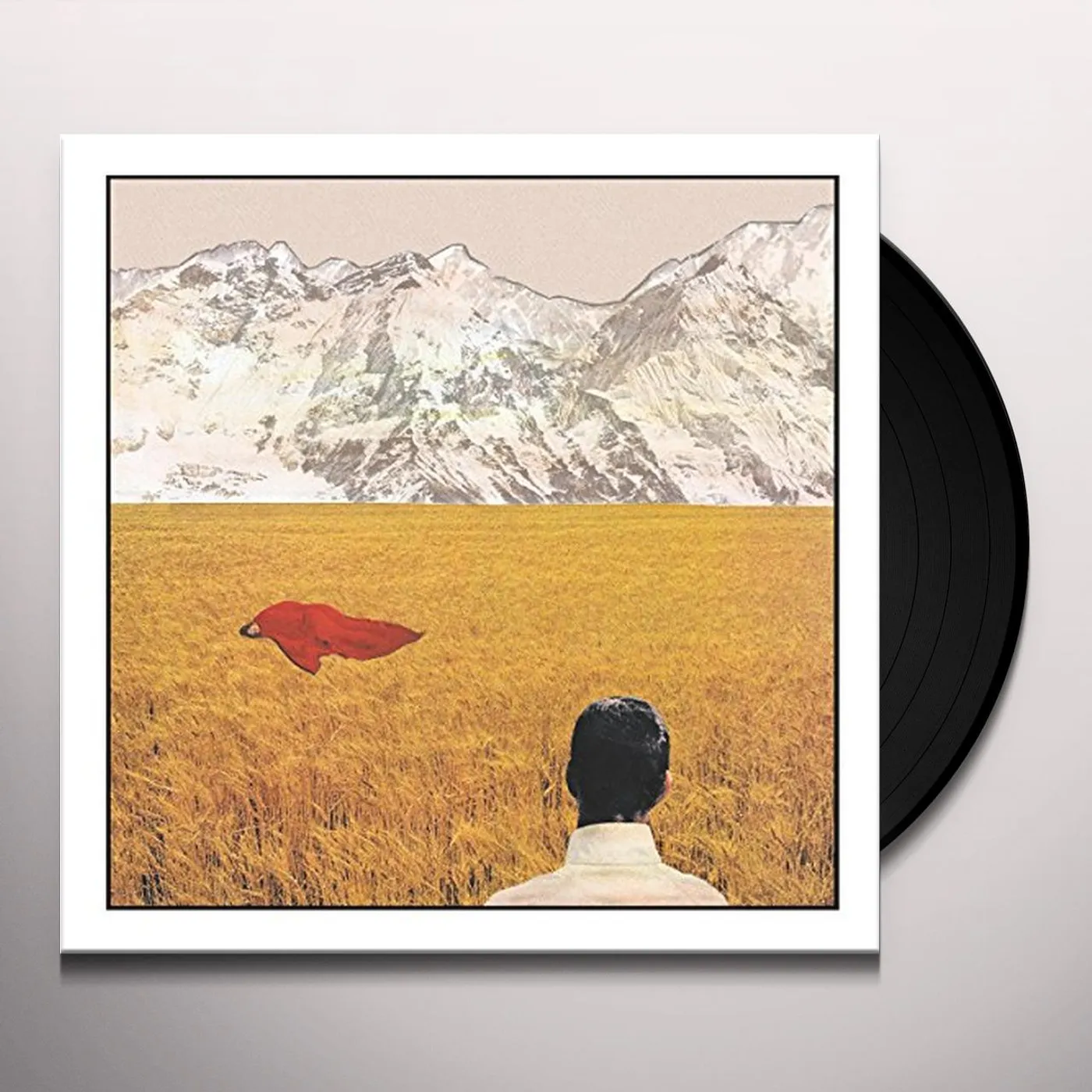 Lady Lamb The Beekeeper After Vinyl Record