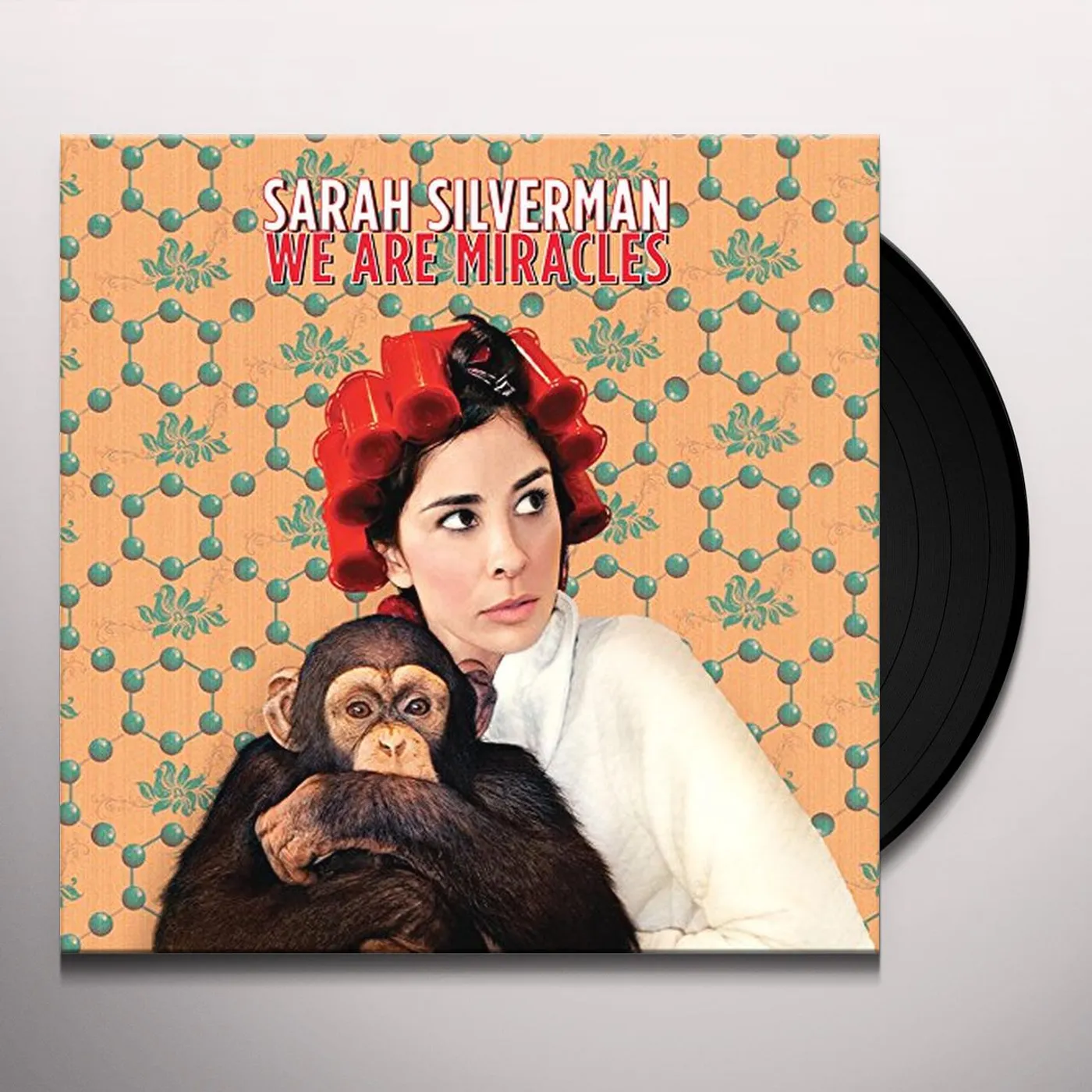 Sarah Silverman We Are Miracles Vinyl Record