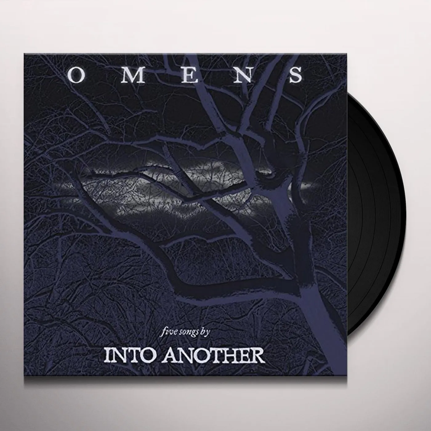 Into Another Omens Vinyl Record