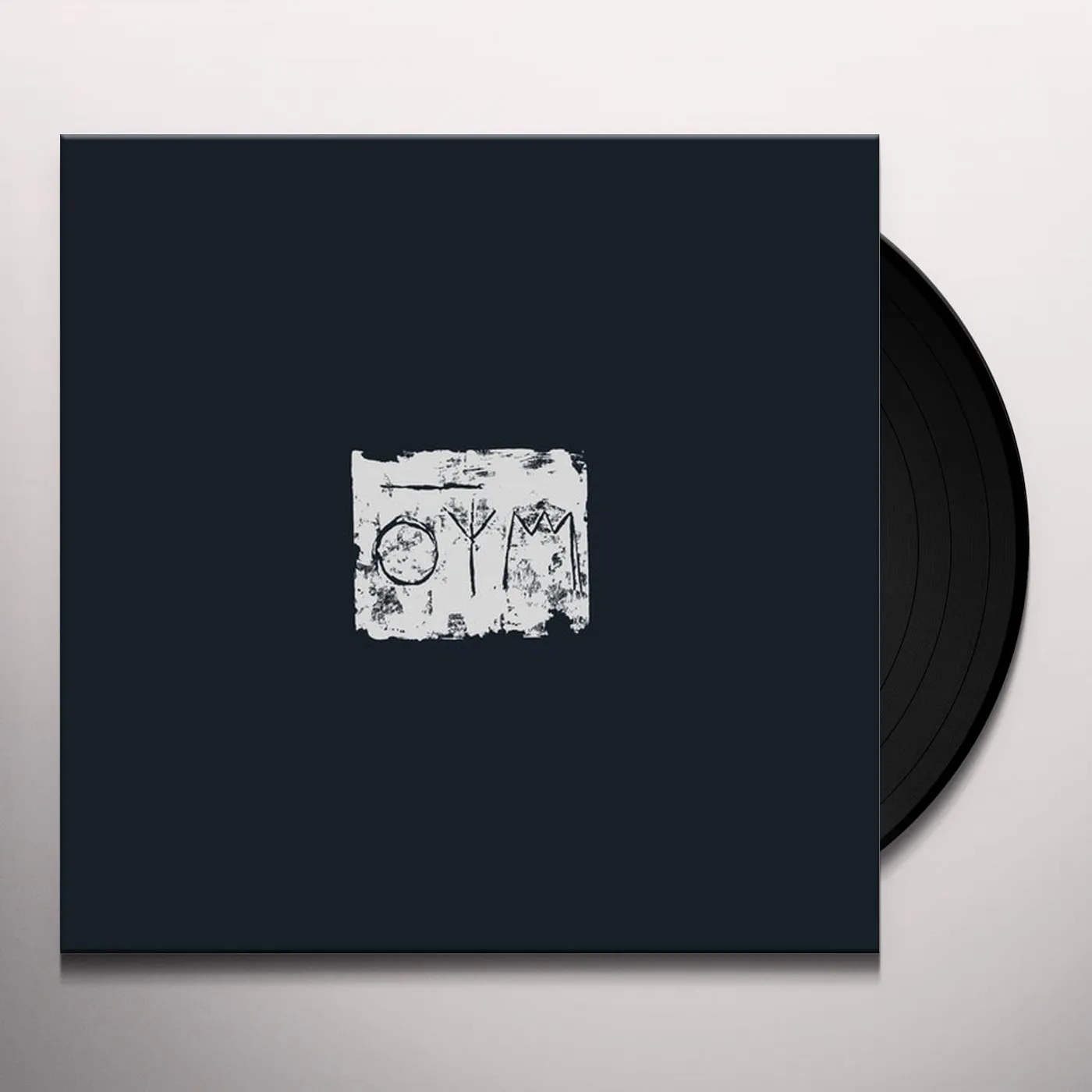 A Swarm Of The Sun WOODS Vinyl Record