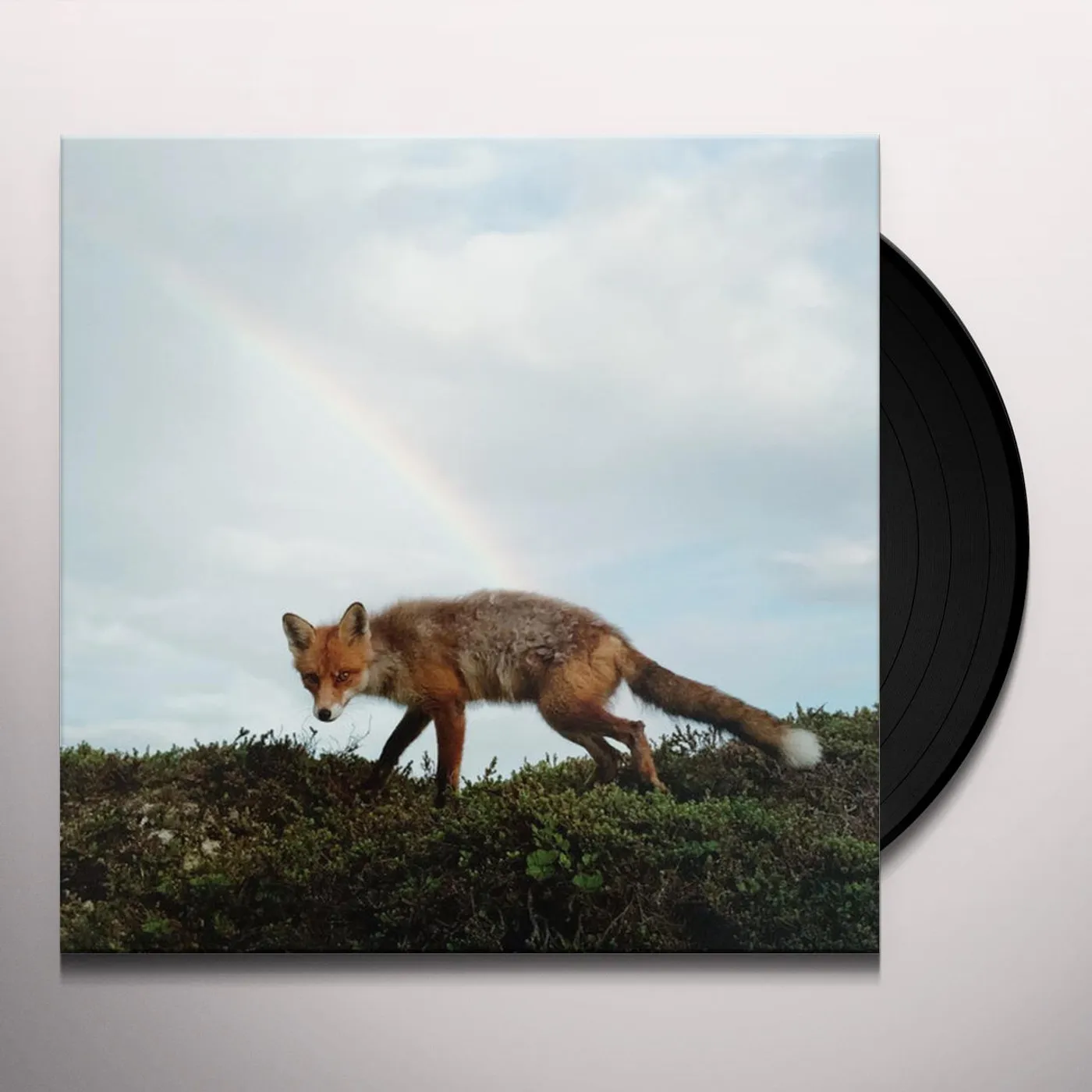 BUCK MEEK (DL CODE) Vinyl Record