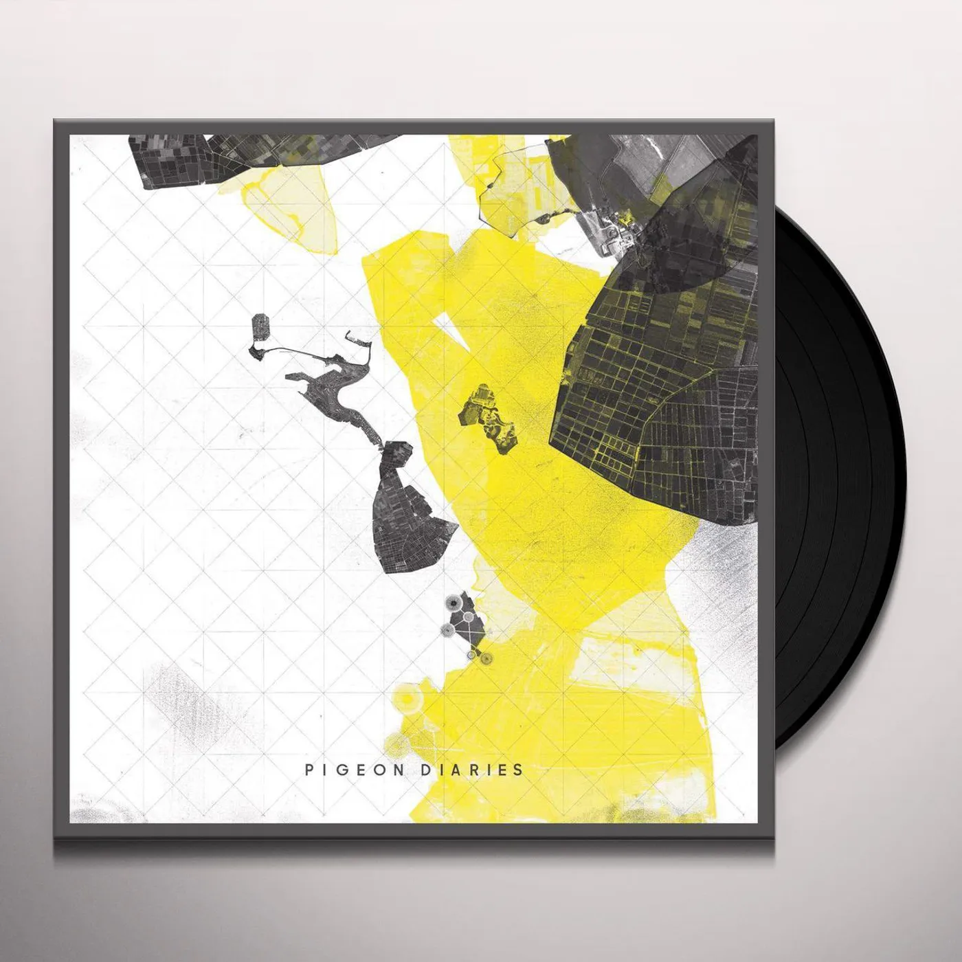 Enablers Pigeon Diaries Vinyl Record