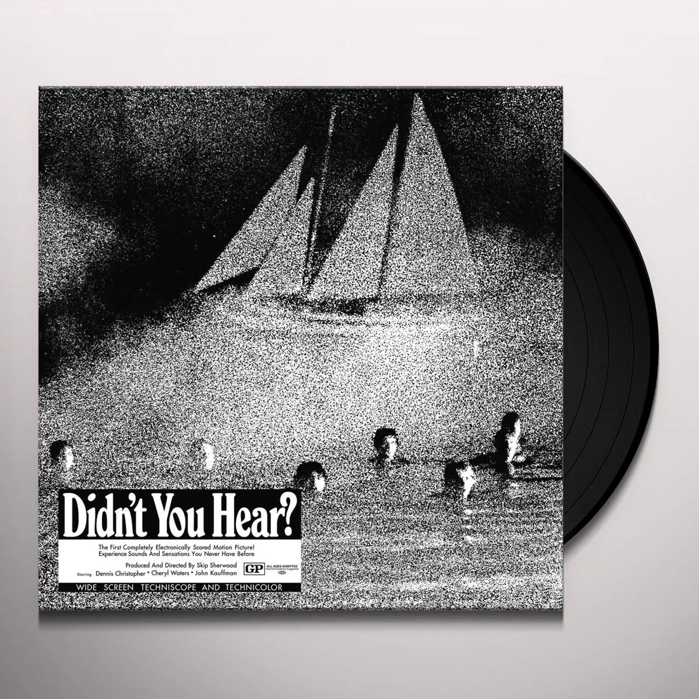 Mort Garson Didn't You Hear? Vinyl Record